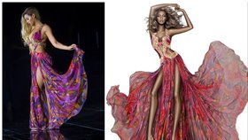 Zpěvačka Beyoncé na vizuálu módního domu Roberto Cavalli