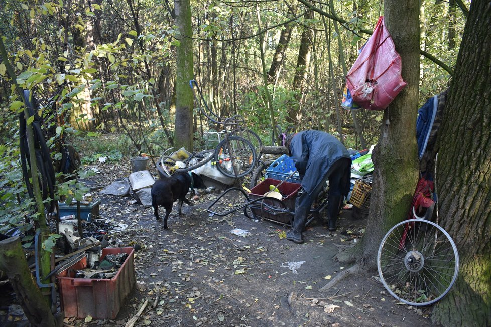 Bezdomovec Miky (40) s jedním ze svých psů.