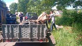 Bezdomovci v Plzni po sobě uklízeli pod dozorem strážníků nepořádek.