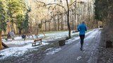 Běžci v Praze 8 jsou neúnavní: Běžecká škola pokračuje až do Vánoc