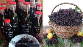 Jana z Tálína poradila recept na bezinkový retro kávový likér i sirup