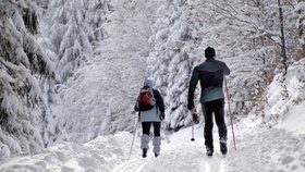 Zlomeniny, dehydratace, kolaps? Chraňte na běžkách svůj život a zdraví