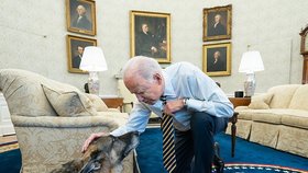 Joe Biden v Bílém domě s věrným Champem.