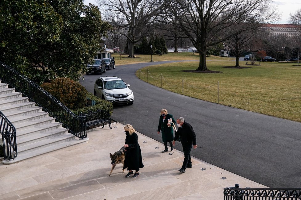 Stěhování psů do Bílého domu.