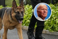 Problémový pes prezidenta Bidena opustí Bílý dům. Člena ochranky pokousal už po jedenácté