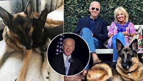 Bidenova rodina vlastní dva německé ovčáky Majora a Champa