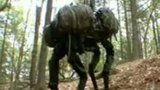Armádní robot BigDog: Pohybuje se jako zvíře!