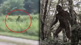 V Severní Karolíně prý zpozorovali legendárního Bigfoota.