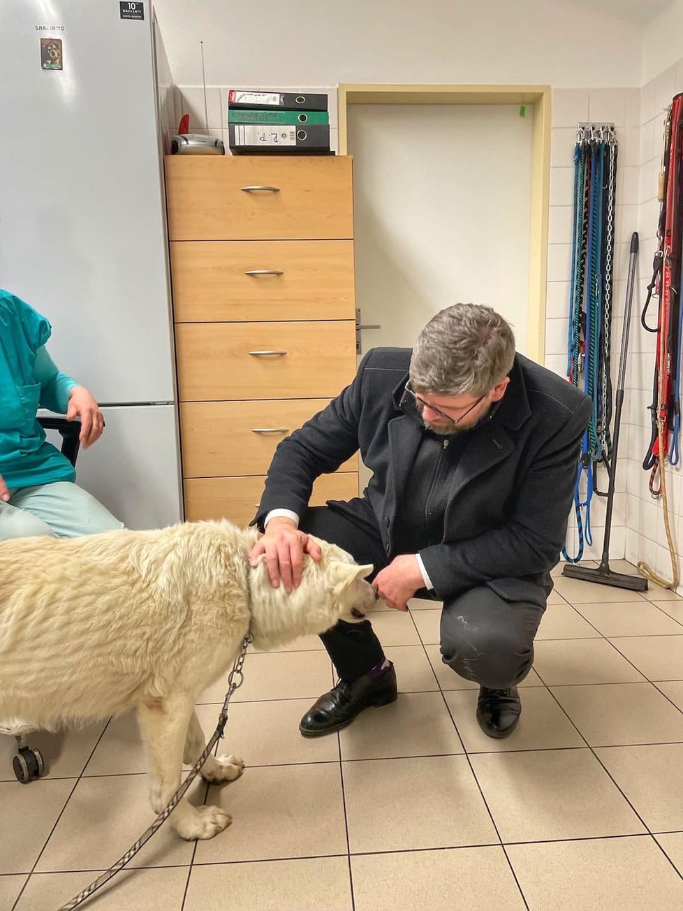 Bílá fenka švýcarského ovčáka, která se v únoru potulovala v ulicích Prahy, byla od svých páníčků unesena. Nakonec však přece jen došlo ke šťastnému shledání s její rodinou.