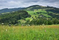 Bílé Karpaty: Vyrazte za orchidejemi na východ Moravy