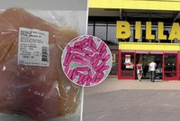 Varování potravinářské inspekce: Salmonela v mase z Billy!