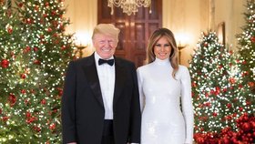 Vánoční portrét prezidenta USA Donalda Trumpa a první dámy Melanie Trumpové