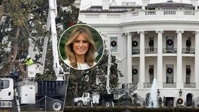 Melanie Trump a její »příspěvek« k proměně Bílého domu: Nařídila kácení 182letého stromu!