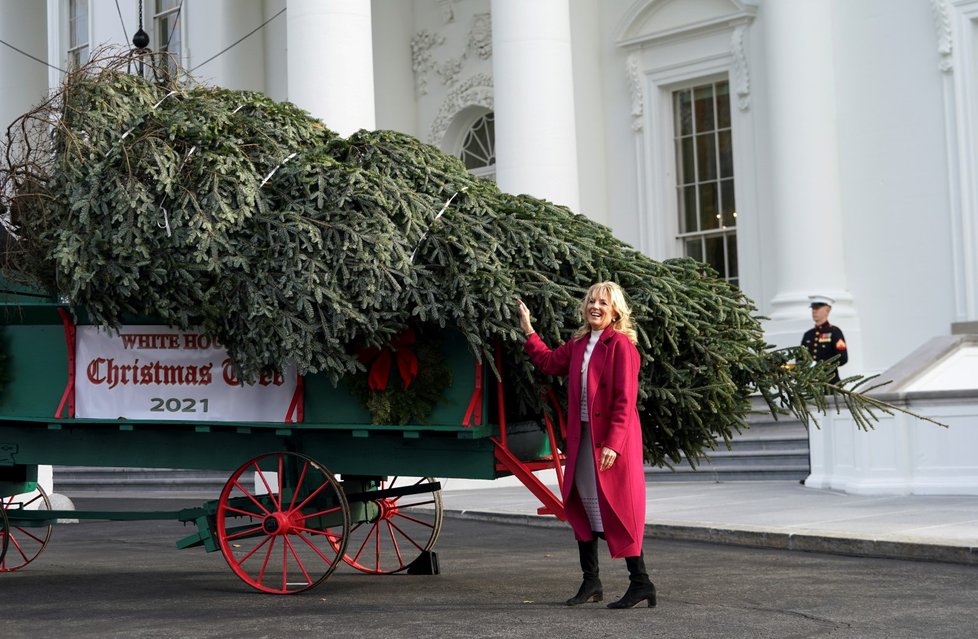 Prezidentskou rezidenci ozdobí borovice Fraserova ze Severní Karolíny.