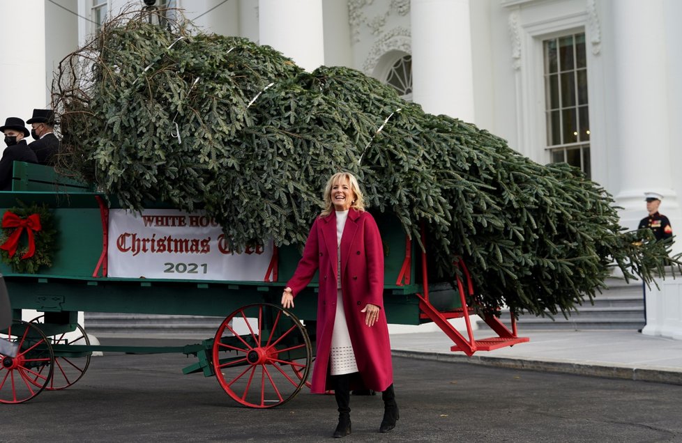 Prezidentskou rezidenci ozdobí borovice Fraserova ze Severní Karolíny.