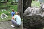 Tygřice Charlota se v hodonínské zoo stala miláčkem dětí.