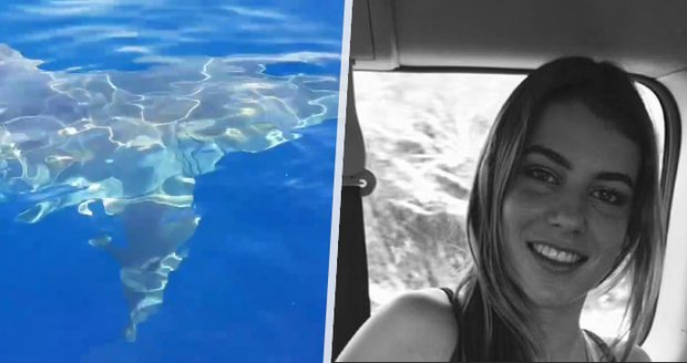 Mladou ženu na nafukovacím kruhu napadl bílý žralok: Táhla se za ní krvavá stopa!