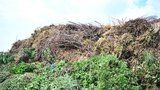 Rekord v pražské kompostárně: Za loňský rok zde skončilo přes tři tisíce tun bioodpadu