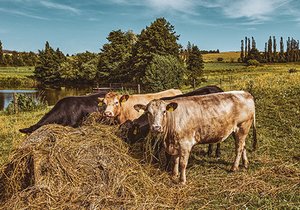  Láska k půdě, rostlinám i zvířatům – to je ekologické zemědělství