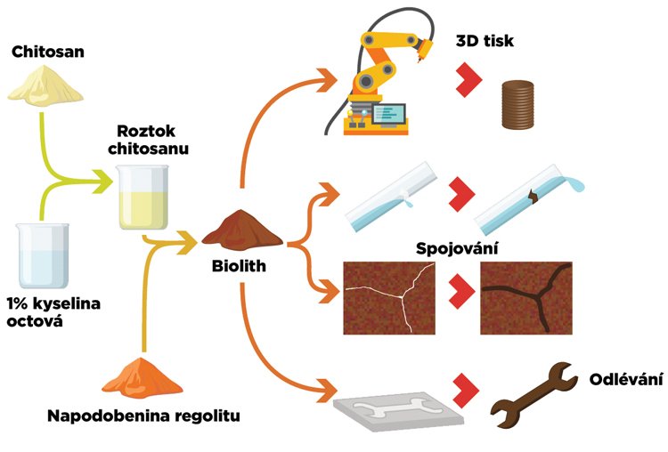 Výroba biolithu. Chitin se chemickou reakcí převede na sloučeninu chitosan, která se míchá s &#34;marťanskou&#34; půdou za vzniku biolithu. Ten se dá dále zpracovávat tištěním, spojováním i odléváním