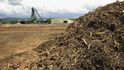 Biomasa, „nečisté“ palivo