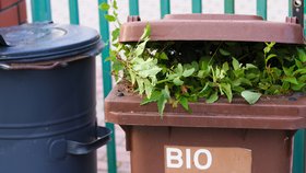 Víte, co patří do bioodpadu?