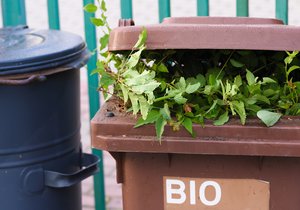 Víte, co patří do bioodpadu?