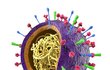 Zákeřný virus prasečí chřipky.
