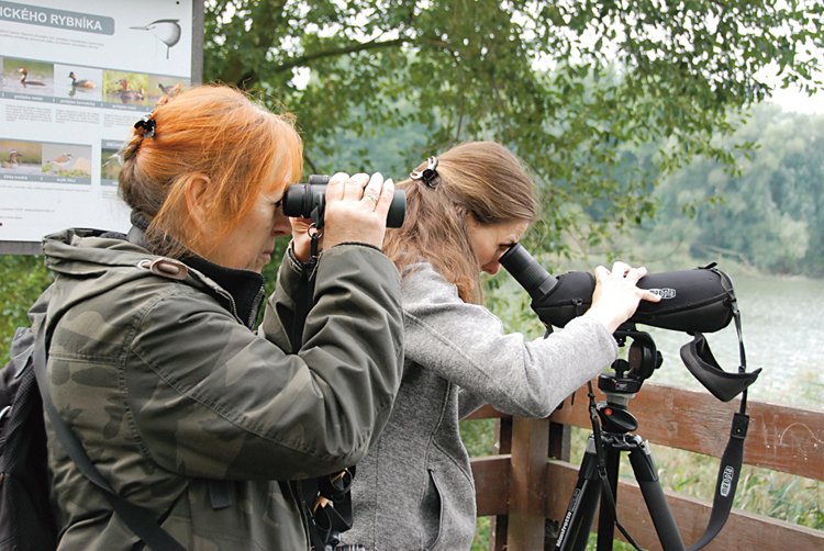 Birdwatching: Mám dalekohled a čas. Víc nepotřebuji