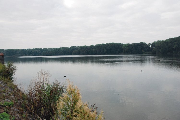 Birdwatching: Mám dalekohled a čas. Víc nepotřebuji