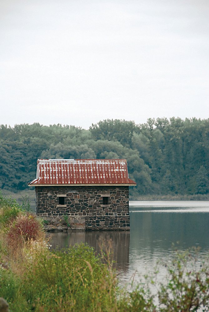 Birdwatching: Mám dalekohled a čas. Víc nepotřebuji