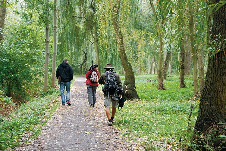 Birdwatching: Mám dalekohled a čas. Víc nepotřebuji