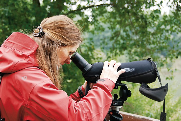 Birdwatching: Mám dalekohled a čas. Víc nepotřebuji