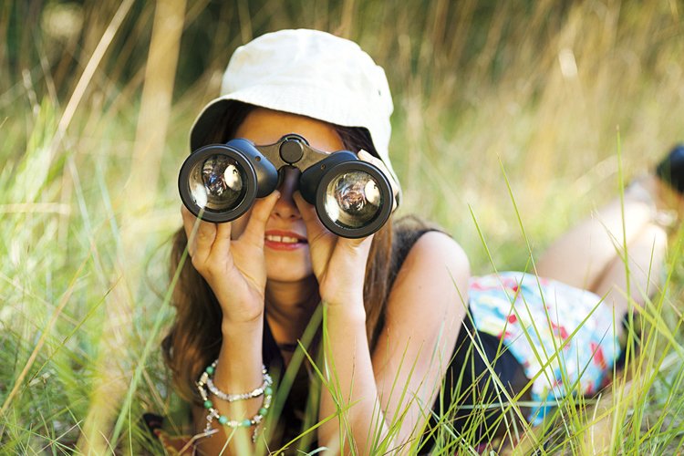 Birdwatching: Seriál o pozorování ptáků