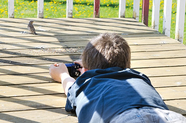 Birdwatching: Seriál ABC o pozorování ptáků