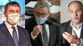 Tomáš Petříček (ČSSD) na tiskovce (4. 1. 2021) ministr kultury Lubomír Zaorálek ve Sněmovně (11. 11. 2020)Expert na dopravu Jan Birke (ČSSD)