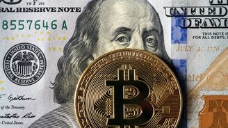 Bitcoin má za sebou skvělý rok, sázkou na některé jiné kryptoměny šlo ale vydělat více