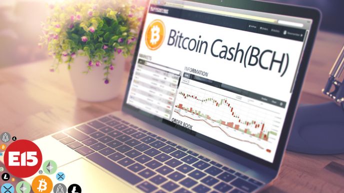 Bitcoin cash