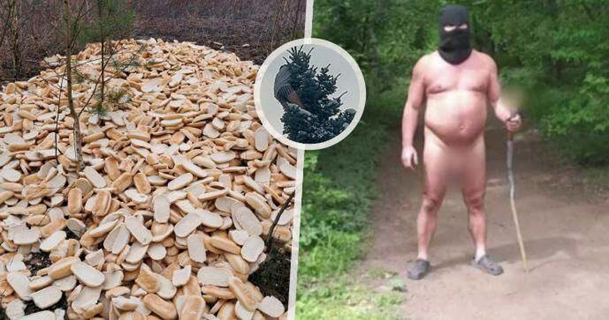 Las cosas más extrañas del año: un hombre desnudo con un consolador en un palo, cientos de conejitos y un pez gato agresivo. Las cosas más extrañas del año: un hombre desnudo con un consolador en un palo, cientos de conejitos y un pez gato agresivo.