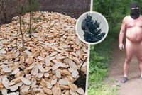 Největší bizáry roku: Naháč s dildem na holi, stovky housek i agresivní sumec