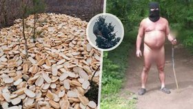 Největší bizáry roku 2025