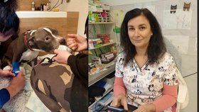 Bladeho ošetřující  veterinářka Karolína Turčinková. Pejsek denně dostává infuze.