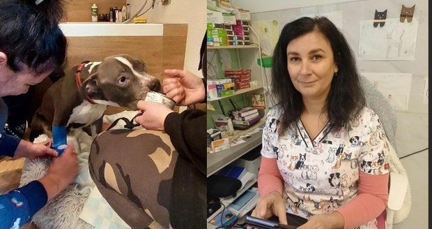 Veterinářka o týraném pejskovi: Byl tak dehydrovaný, že byl jako sušenka