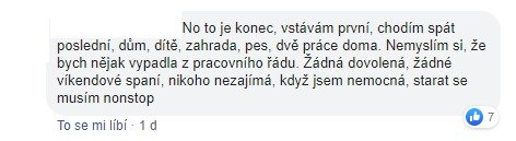 Mateřství je práce na plný úvazek, míní pobouřené ženy. Výrok Jiřího Bláhy (ANO) je zvedl se židle.