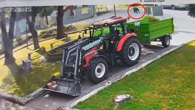 Medvěd v ulicích slovenské obce Blatnica