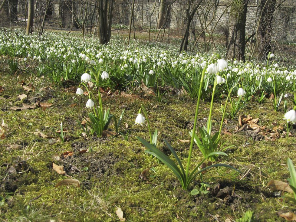 Meteorologové předvídají nadprůměrné teploty.