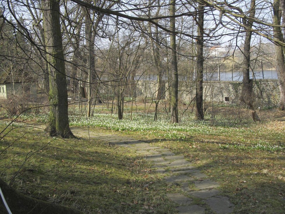 V pondělí začíná astronomické jaro.