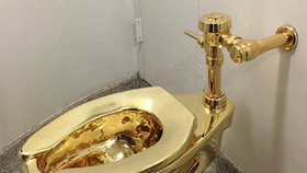 Po téměř pěti letech se James Sheen doznal k loupeži slavné zlaté toalety z rodného domu válečného premiéra Winstona Churchilla.