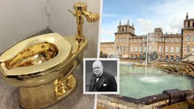 Lupič ukradl záchod za 140 milionů korun z domu Winstona Churchilla: K činu se po 5 letech přiznal!