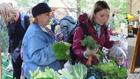 Farmářské trhy nejsou zárukou bio kvality! Kde v Praze koupit neošetřené potraviny?